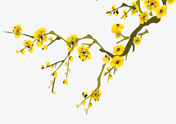 精致的金色梅花免抠素材