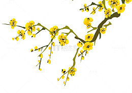 精致的金色梅花免抠素材