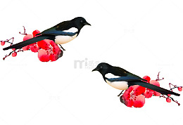 春节红色梅花装饰
