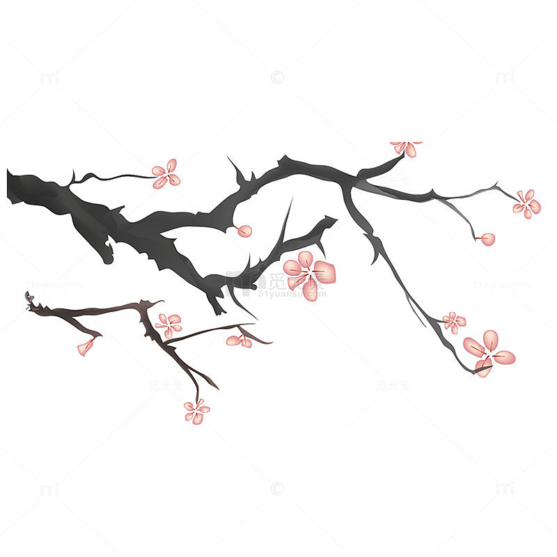 粉色暖冬梅花景色