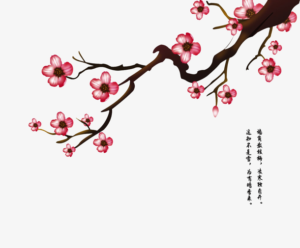 清新梅花图案