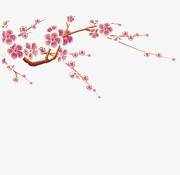 一支梅花漂浮素材
