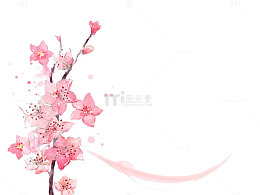 一枝盛开的多个花朵的梅花树枝