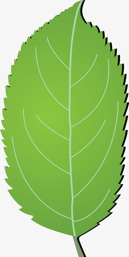 绿色的卡通叶子素材图
