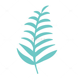 卡通手绘一片树叶