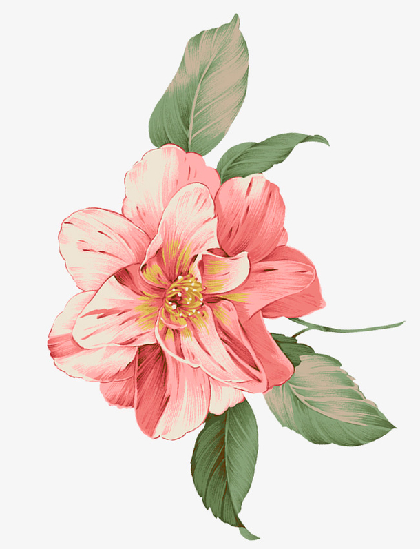 清新手绘粉色鲜花素材免费下载_觅元素