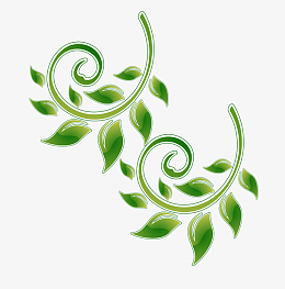 png简约插画树叶epspngpng绿色可爱的叶子epspngpng简约插画小叶子png