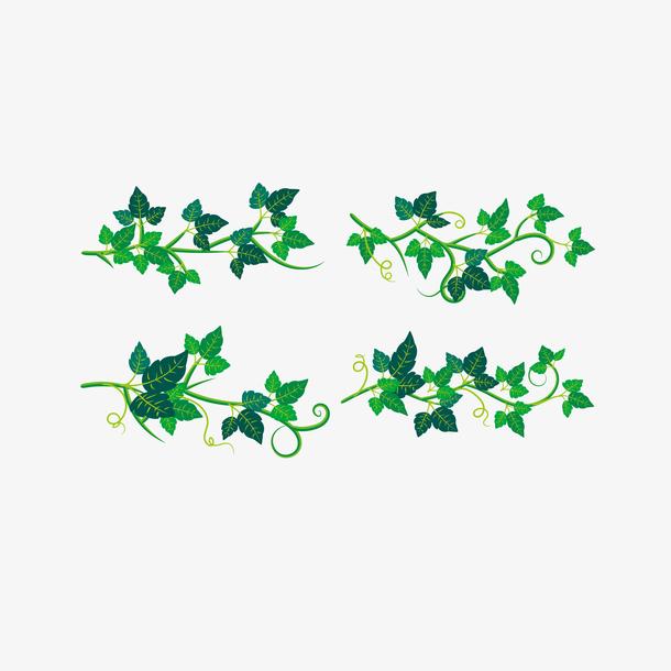 绿色精致矢量植物藤叶免抠素材免费下载_觅元素51yuansu.com