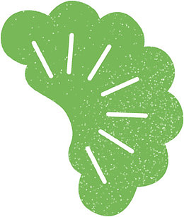 卡通松树叶子简图