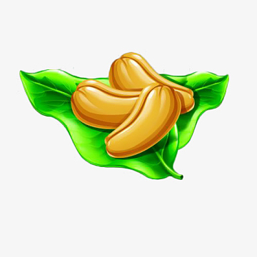 手绘卡通绿叶腰果设计插画免抠