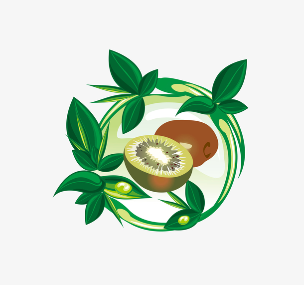 猕猴桃矢量素材