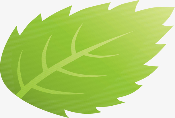 关键词 : 绿色,绿叶,叶子,手绘,卡通[声明] 觅元素所有素材为用户免费