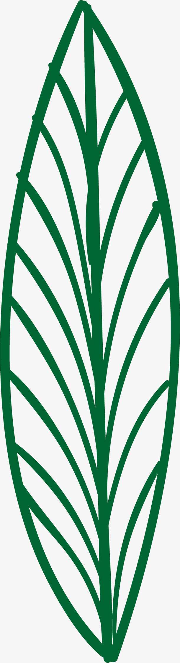 长形绿叶子树叶