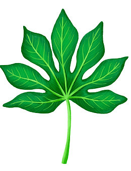 热带植物叶子卡通插画