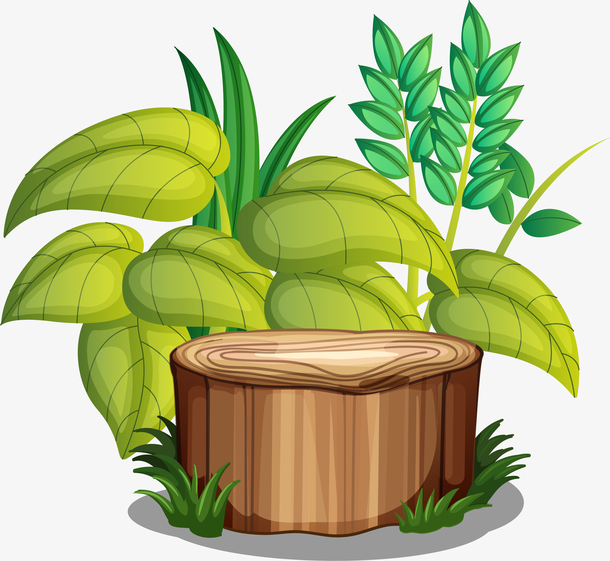 木墩上的绿色树叶