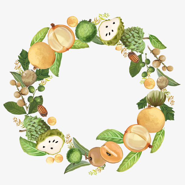 绿色上的果实免抠素材免费下载_觅元素51yuansu.com