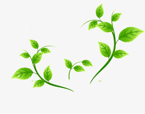 叶子装饰免抠素材免费下载_觅元素51yuansu.com
