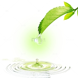 立春下雨绿色植物