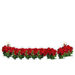 一排玫瑰花盆栽