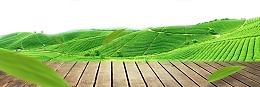 绿色大自然木板banner