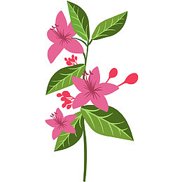 红花绿叶矢量插画