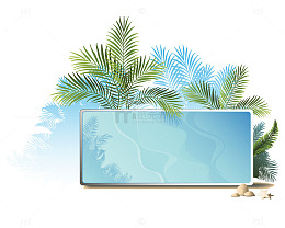 蓝绿色椰棕树叶海星背景