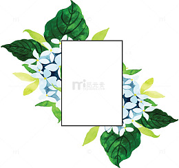 绿叶绣球花春天边框
