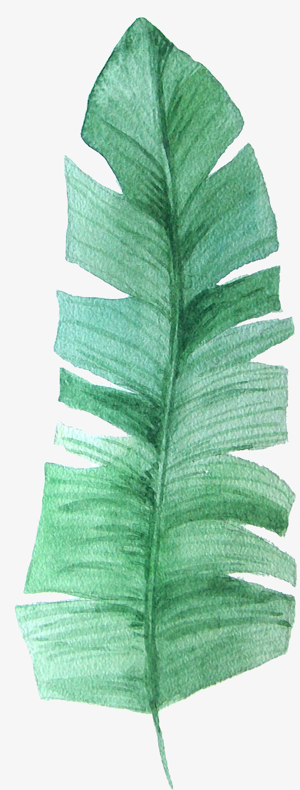 手绘叶子素材免费下载_觅元素