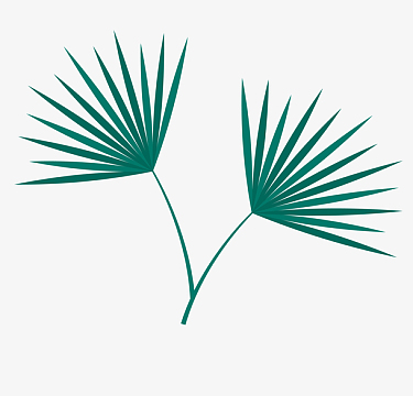 绿色可爱的叶子