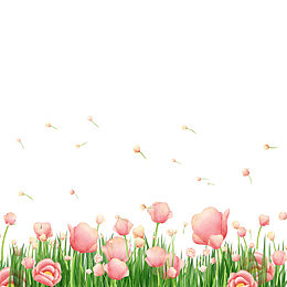 鲜花素材