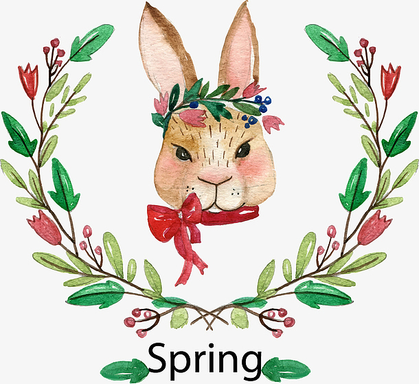 绿色树叶中间的兔子