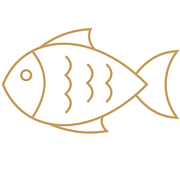 矢量鱼免抠PNG