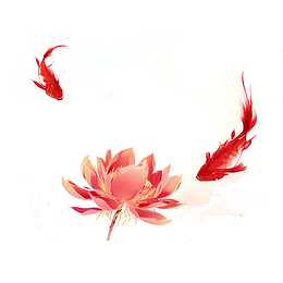 唯美荷花金鱼