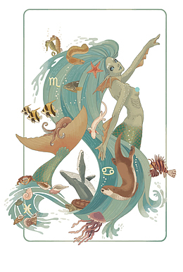 矢量星座插画