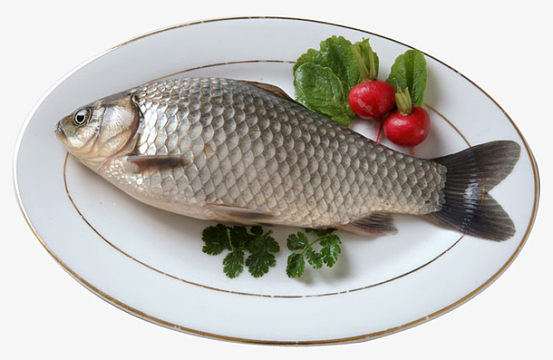 鲫鱼新鲜素材_鲫鱼新鲜图片元素-觅元素