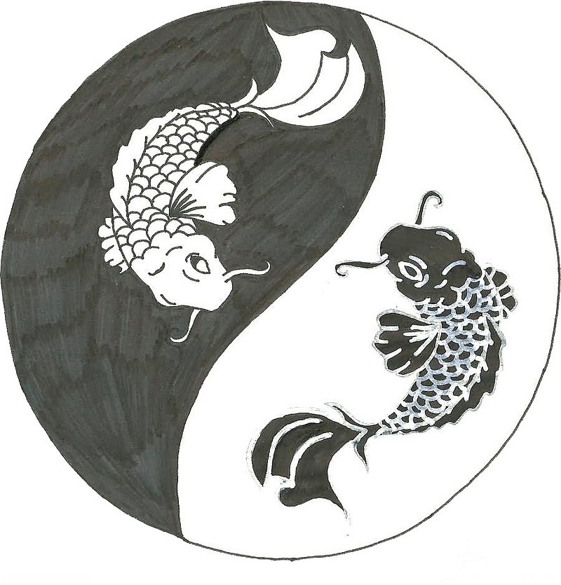 黑白太极双鱼