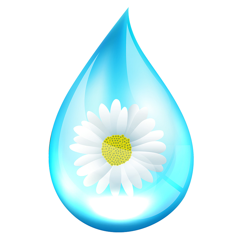 矢量创意蓝色水滴里的菊花