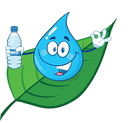 叶子上拿着矿泉水的水滴