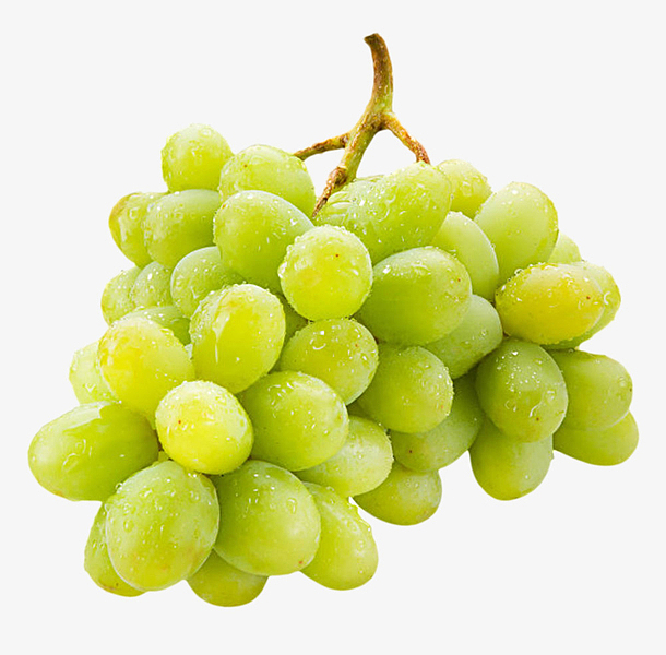 绿色带水珠的葡萄实物