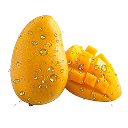 水滴与小台芒图片素材