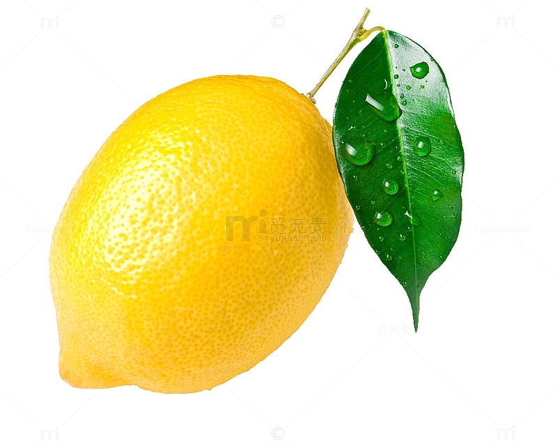 带水珠的柠檬叶子