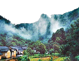 青山绿水
