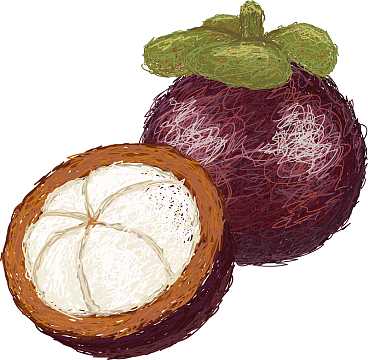 卡通手绘山竹设计元素