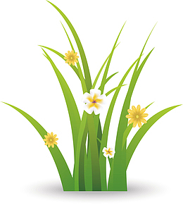 绿色草地开花元素