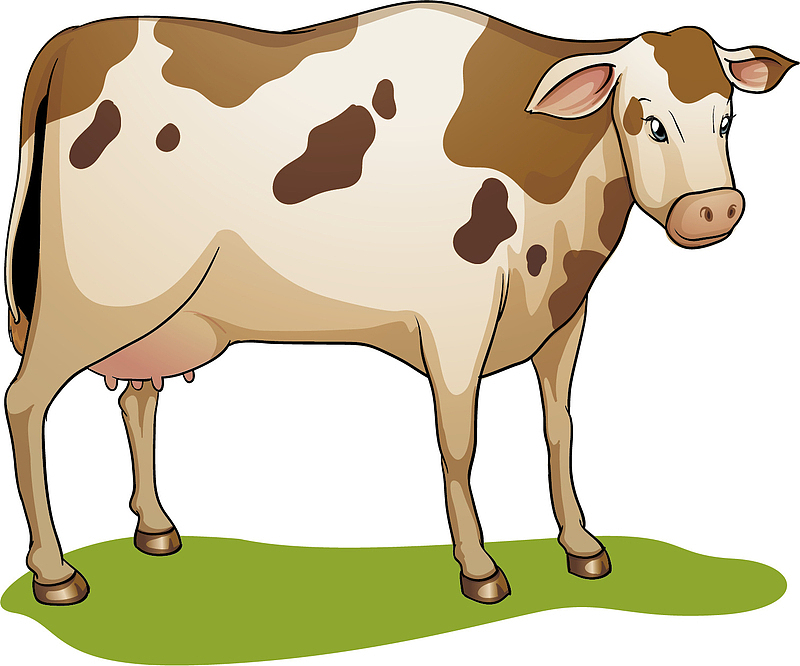 矢量图可爱的奶牛