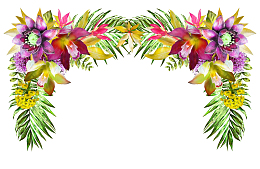 婚礼鲜花拱门装饰