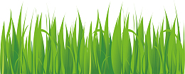 生长的装饰假花假草