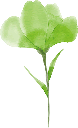 绿绿的树叶春季植物草坪叶子
