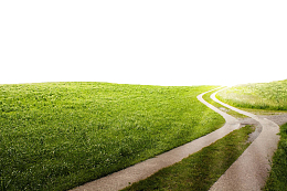 绿色草地上的小路