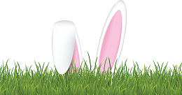 草地上的可爱兔耳朵